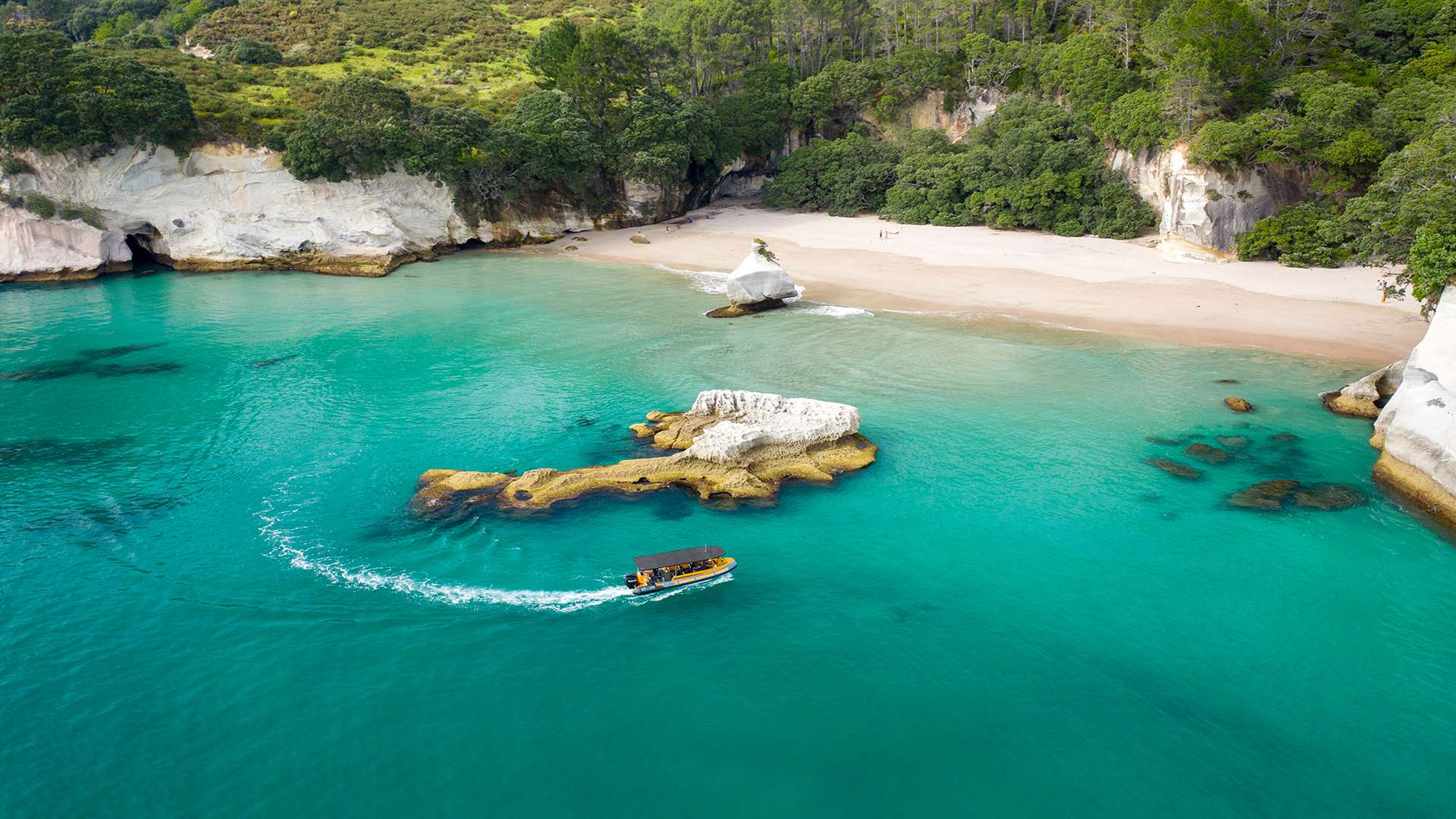 Cathedral Cove Boat Tour